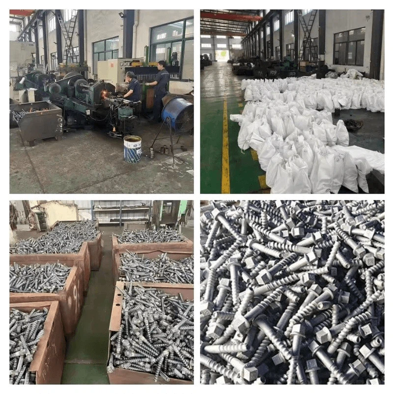 Dog SpikesTrack Dog SpikesTrack